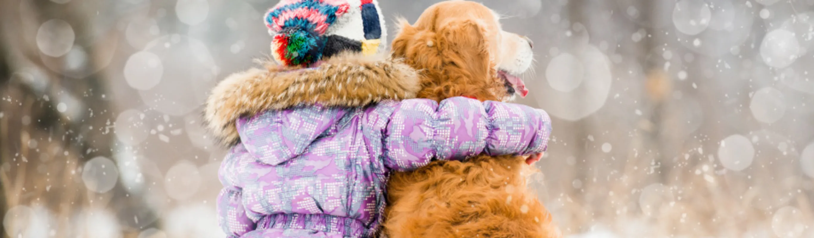 Golden retriever dog sitting outside in a snowy setting with little girl in puffy jacket